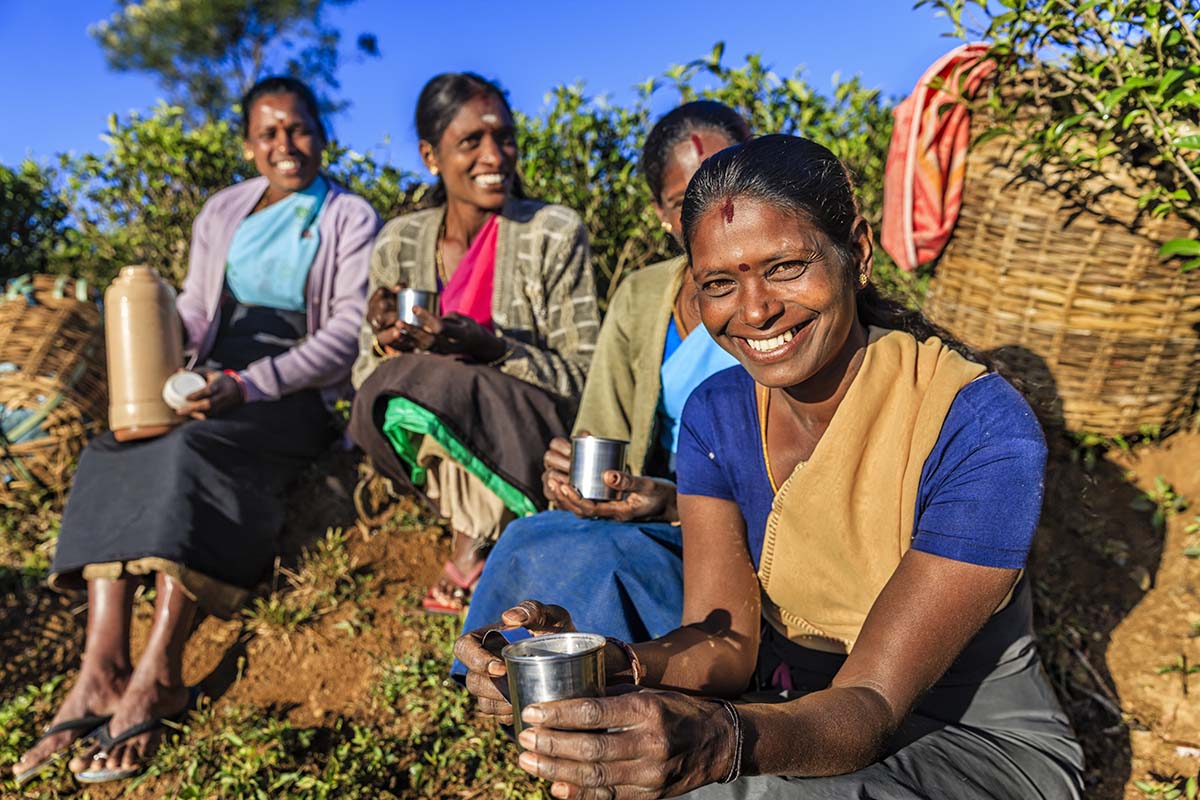 Tamil women drinking fresh tea on plantation, Ceylon